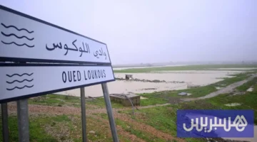 أمطار مرتقبة بالمغرب.. الأرصاد الجوية تكشف تغيرات حالة الطقس المتوقعة اليوم الأحد